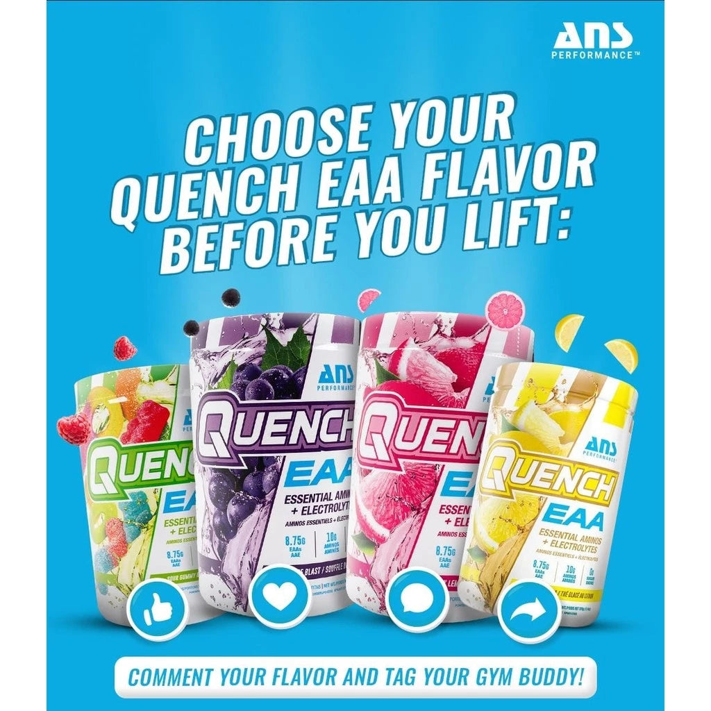 ANS Performance Quench EAA 90 Servings Essential Amino Acid + Electrolytes