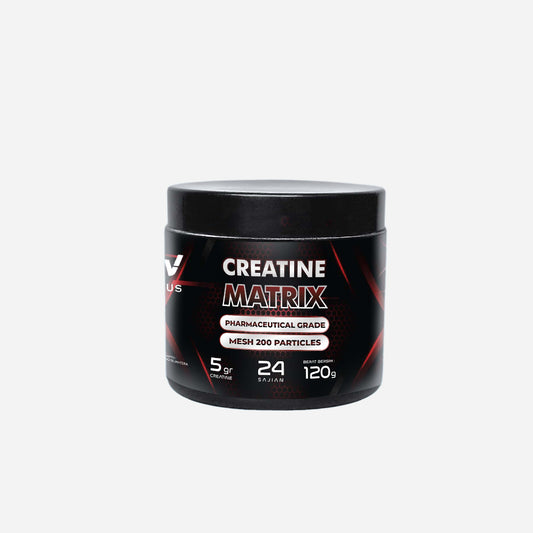 Provus Creatine Matrix 120 Gram PV Provus