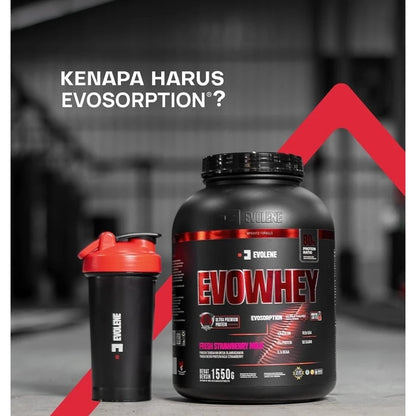 EVOLENE Evowhey w/ Evosorption 1550 Gram ( 50 Serving ) Evolene Whey